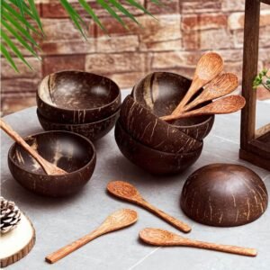 Coconut Shell Bowls